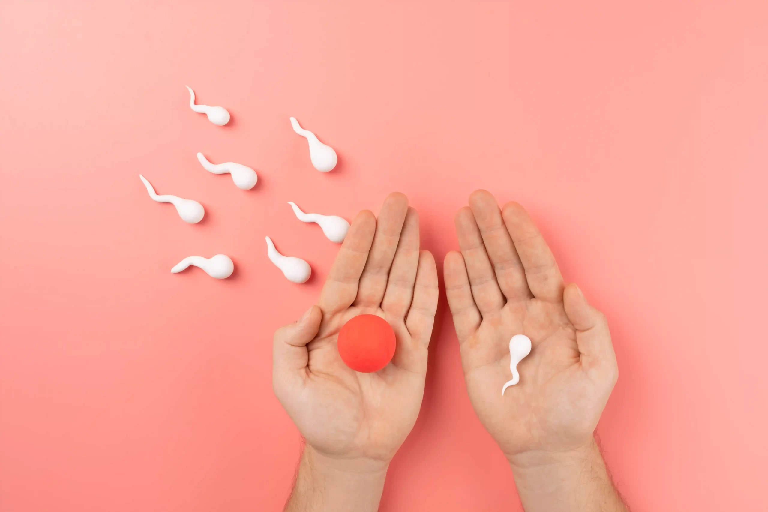 infertility- Υπογονιμότητα Εάν εσείς και ο σύντροφός σας αγωνίζεστε να αποκτήσετε παιδί, δεν είστε μόνοι. Εκατομμύρια άνθρωποι σε όλο τον κόσμο αντιμετωπίζουν την ίδια πρόκληση. Η υπογονιμότητα είναι ο ιατρικός όρος για την περίπτωση που δεν μπορείτε να μείνετε έγκυος παρά το γεγονός ότι κάνετε συχνό σεξ χωρίς προφυλάξεις για τουλάχιστον ένα χρόνο για τα περισσότερα ζευγάρια. Η υπογονιμότητα μπορεί να συμβεί εξαιτίας ενός προβλήματος υγείας είτε σε εσάς είτε στον σύντροφό σας, ή ενός συνδυασμού παραγόντων που εμποδίζουν την εγκυμοσύνη. Αλλά πολλές ασφαλείς και αποτελεσματικές θεραπείες μπορούν να αυξήσουν τις πιθανότητές σας να μείνετε έγκυος.